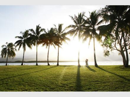 Dragonfly Weddings & Events